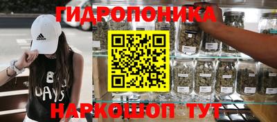 гидропоника Кулебаки