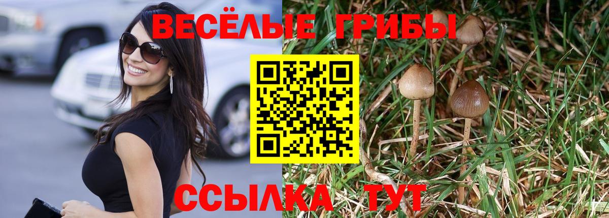 Галлюциногенные грибы MAGIC MUSHROOMS Зерноград