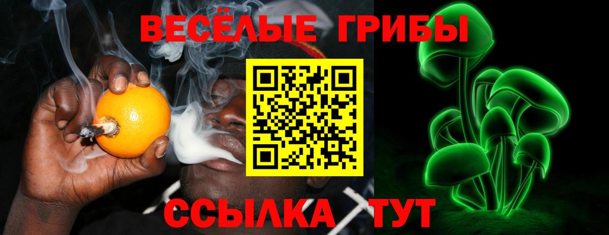 Зерноград  Псилоцибиновые грибы Cubensis  Вход с VPN  Галлюциногенные грибы GOLDEN TEACHER 